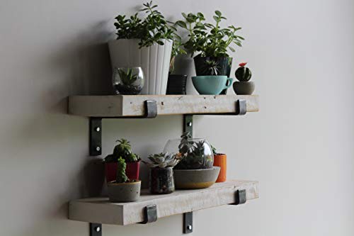 Accent Shelves (2 Count)