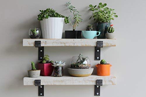 Accent Shelves (2 Count)