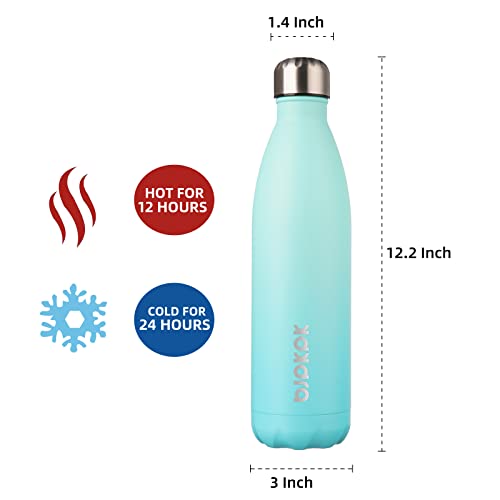 25 oz Insulated Water Bottle