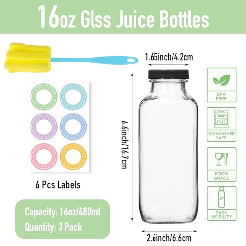3 Pack 12oz Glass Water Bottles