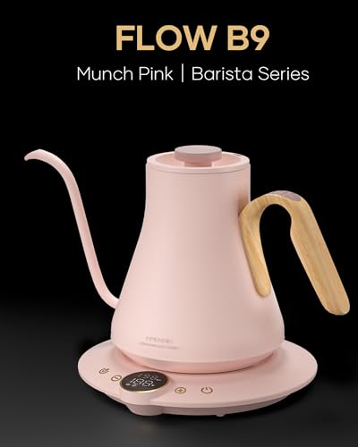 Gooseneck Electric Kettle