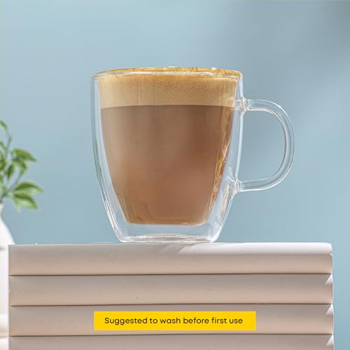 Savor Double Wall Insulated Glasses (2 Count)
