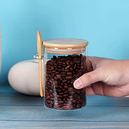 Glass Jars with Bamboo Lids and Spoon Set of 6 (6 Count)