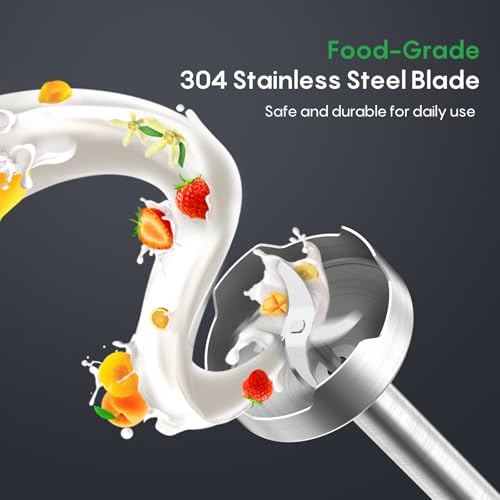 Immersion Blender Handheld
