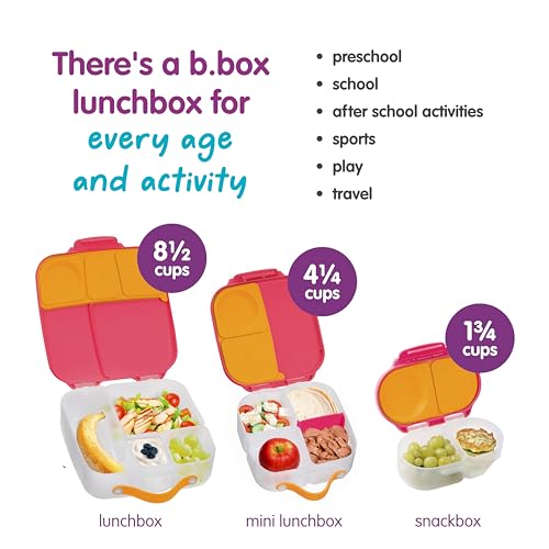 Snack Box 2 Pack (2 Count)