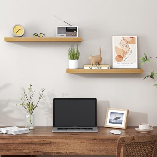 24 Inch Floating Shelves for Wall (2 Count)