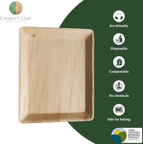 Disposable Bamboo 12" x 10" Trays (200 Count)