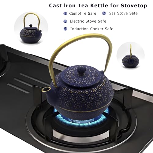 33.8oz Small Cast Iron Tea Kettle for Stovetop