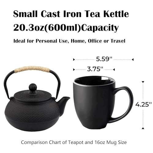 20.3oz Only Small Tea Kettle for 1