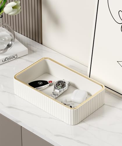 Desk Organizer Tray