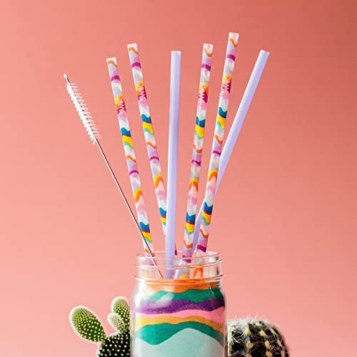Pack of 6 Reusable Plastic Straws with Cleaning Brush (6 Count)