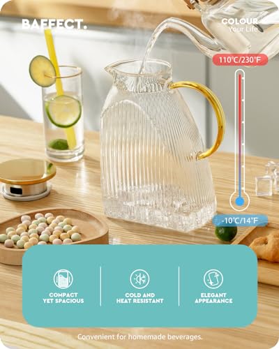 Water Pitcher Glass Jug With Lid and Spout