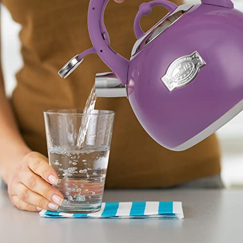 Tea Kettle for Stovetop