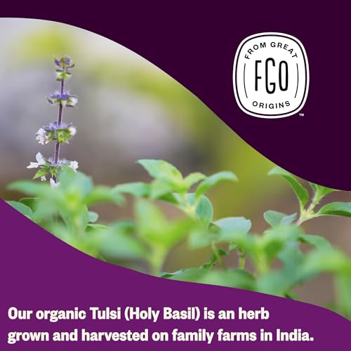 Organic Tulsi Holy Basil Tea (100 Count)