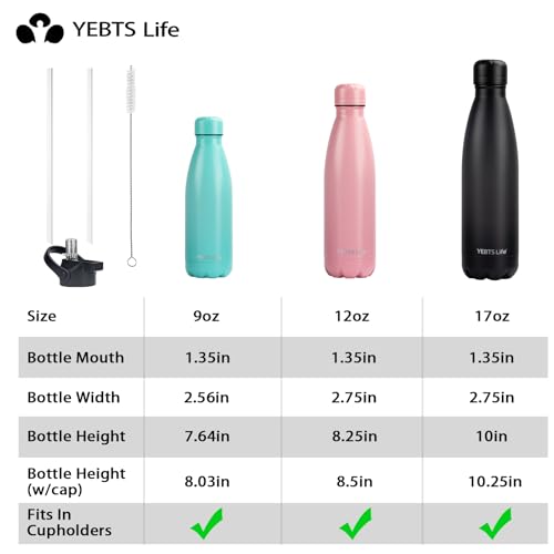 Insulated Water Bottle (2 Count)