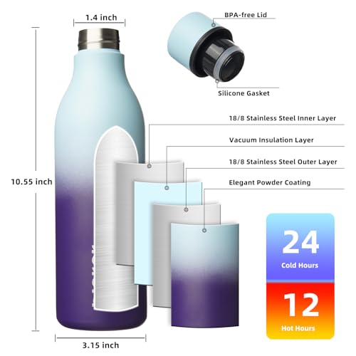 25oz Insulated Water Bottle