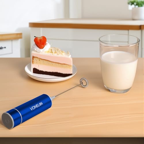 Milk Frother Handheld
