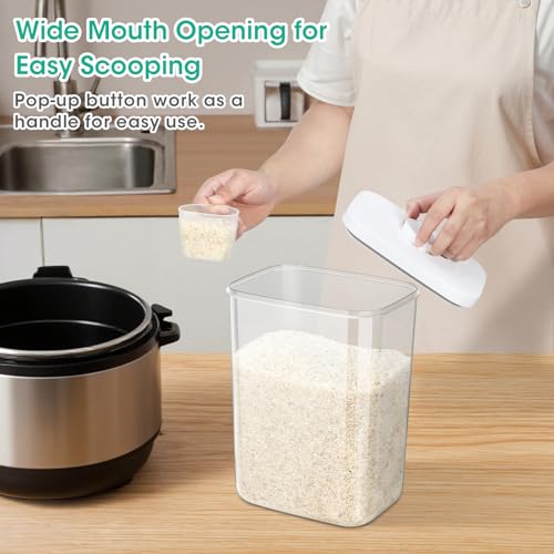 6 Qt Airtight Food Container