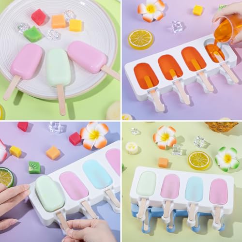 Popsicle Molds Set of 2 (2 Count)