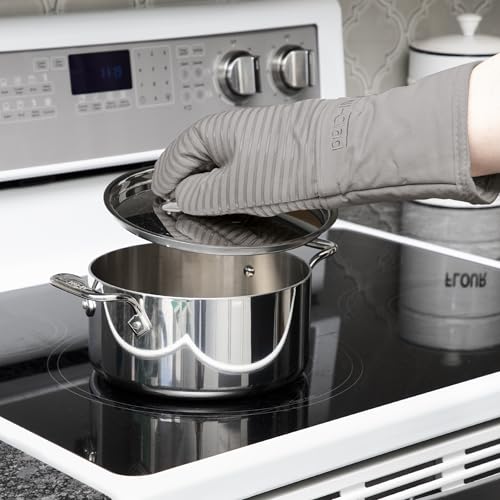 Silicone Oven Mitts (2 Count)