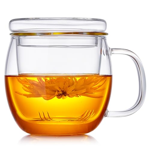 Glass Tea Cup with Infuser and Lid
