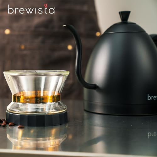 Artisan Electric Gooseneck Kettle