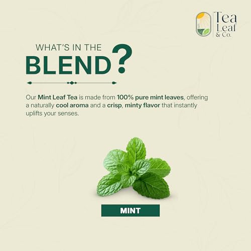 Pure Mint Herbal Tea (7.055 Ounce)
