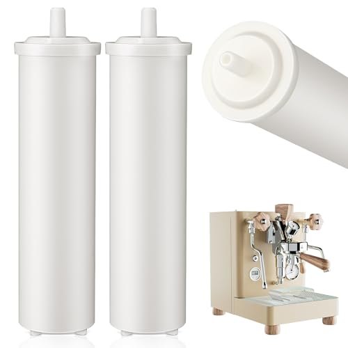 2 Pack Cationic Resin Filter