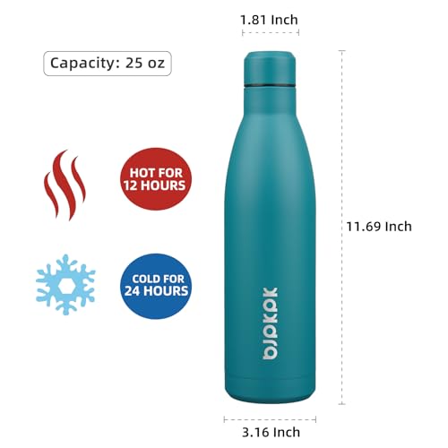 25 oz Insulated Stainless Steel Water Bottle