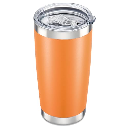 20 oz Tumbler with Lid Stainless Steel Insulated Tumblers Cups Travel Mug
