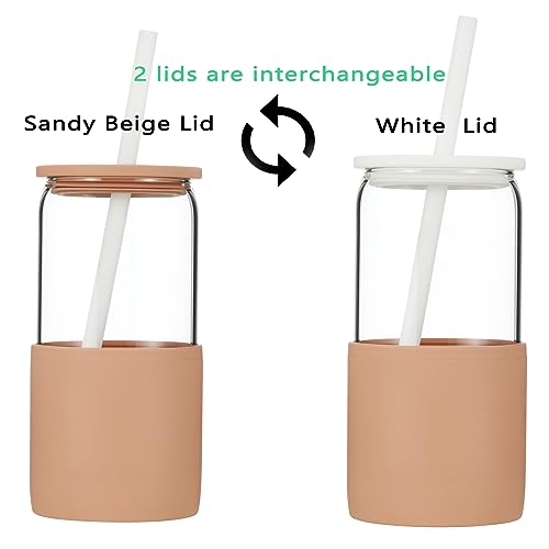 Glass Tumbler with Straw and Lid