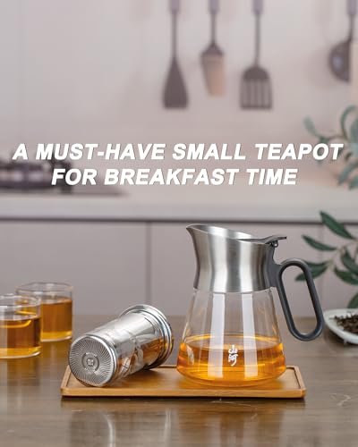 Glass Teapot with Infuser with 2 Cups for Loose Tea Steeper