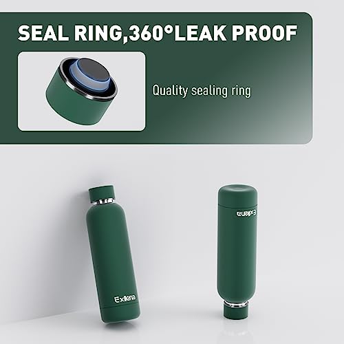 Slim Insulated Water Bottles for Travel 18oz with Clip