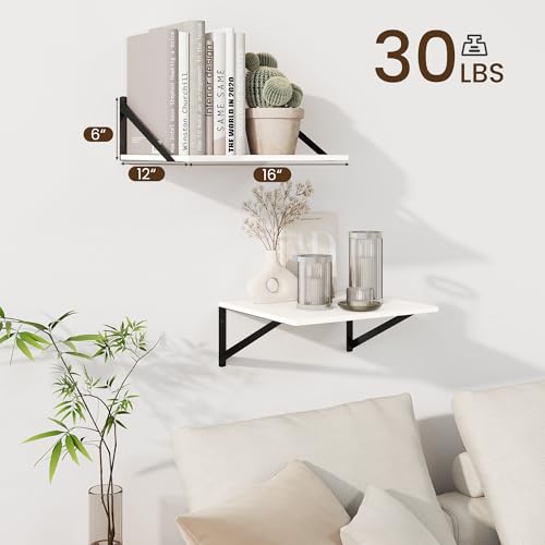 Floating Shelves for Wall (2 Count)
