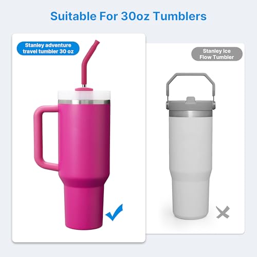 Repeatable Metal Straw with Silicone Tips for 30 oz Stanley Tumbler
