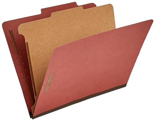 Classification File Folder (10 Count)