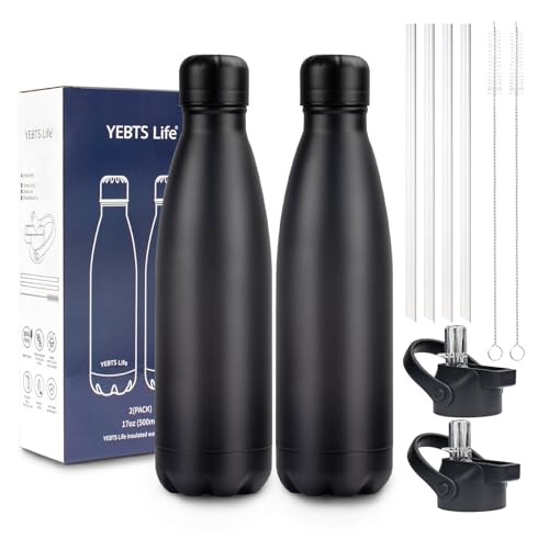 Insulated Water Bottle (2 Count)