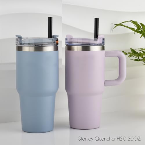 Black Replacement Straws for Stanley 20oz 14oz Tumble (6 Count)