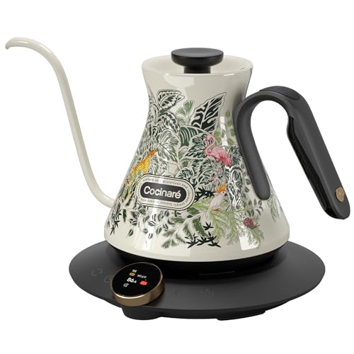 Gooseneck Electric Kettle