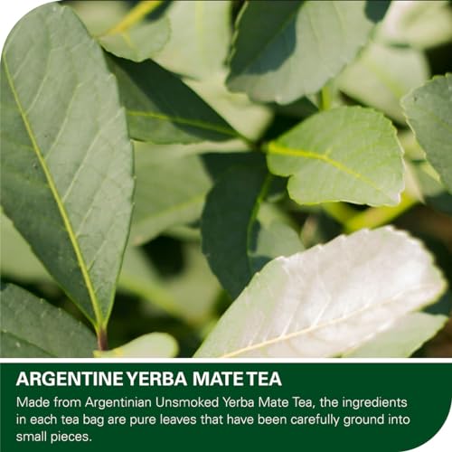 Yerba Mate Tea Bags 50 Count