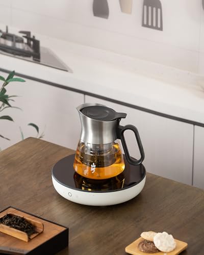 23oz Small Glass Teapot with Infuser For Loose Leaf Tea Steeper