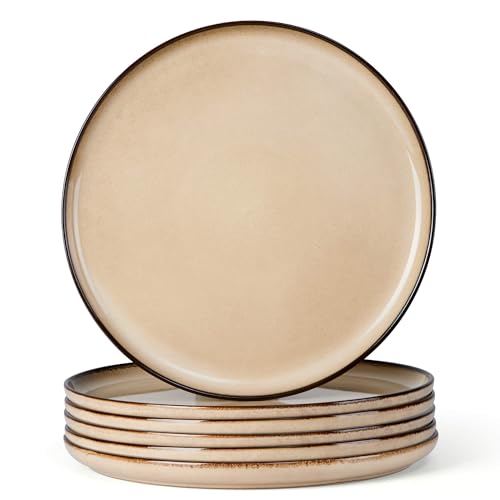 Ceramic 10.43 Inch Dinner Plates Set of 6 (6 Count)