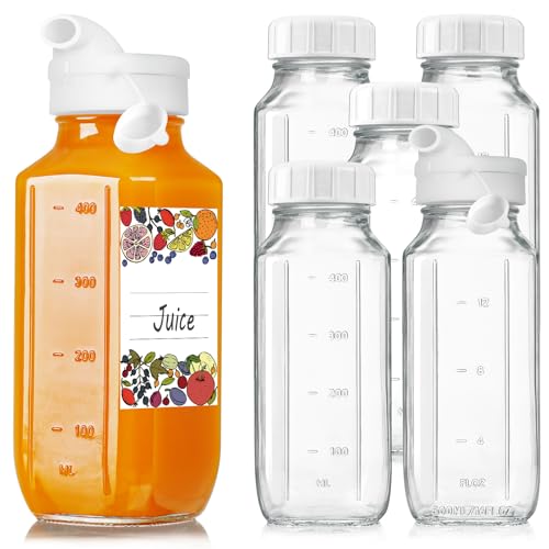 6 Pack 16 Oz Glass Juice Bottles with Lids (6 Count)
