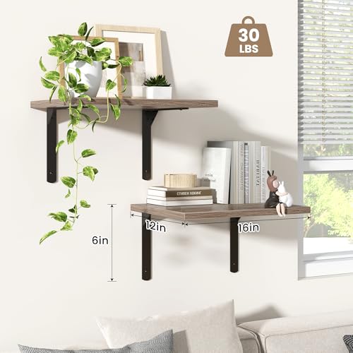 Floating Shelves for Wall (2 Count)