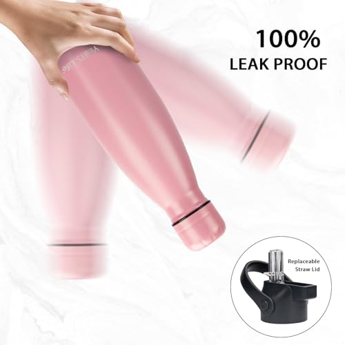 Insulated Water Bottle (2 Count)