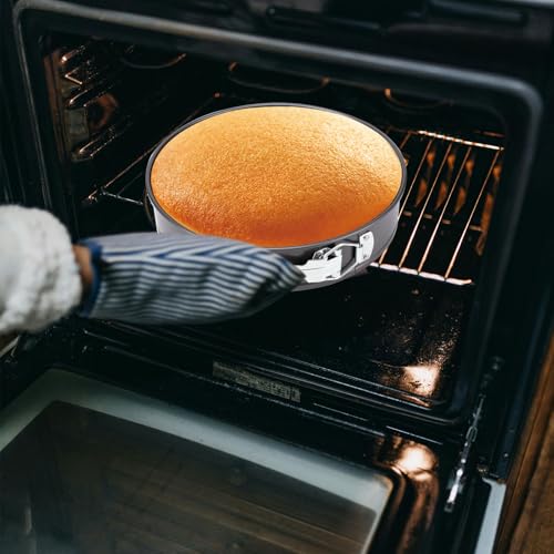 Springform Pan (6 Count)