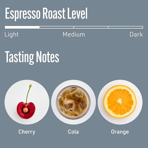 Whole Bean Coffee (12 Ounce)