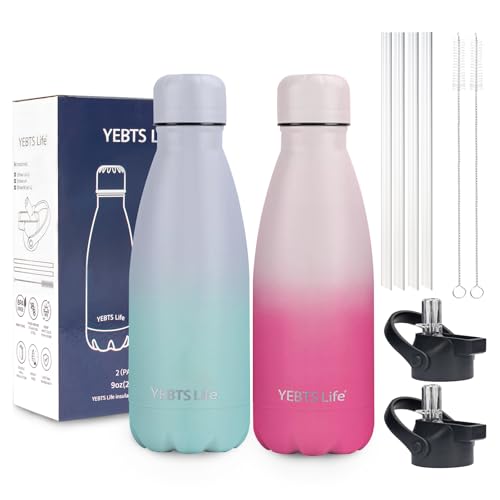 Insulated Water Bottle (2 Count)