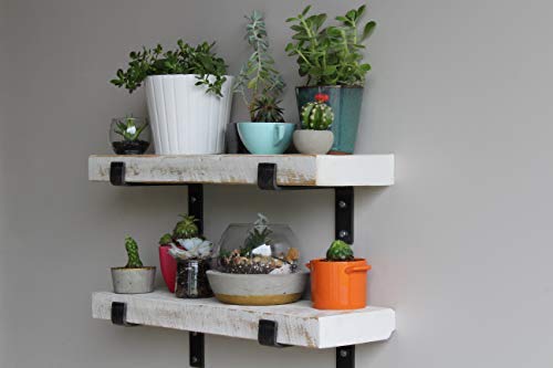 Accent Shelves (2 Count)