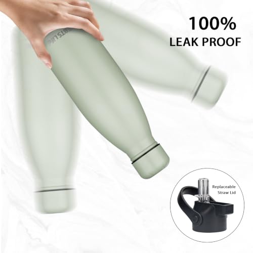 Insulated Water Bottle (2 Count)